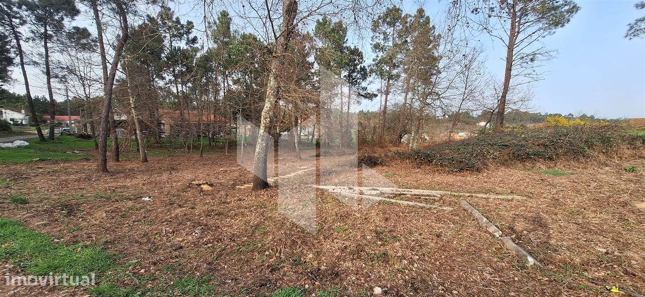 Terreno Para Construção  Venda em São Miguel do Outeiro e Sabugosa,Ton - Grande imagem: 2/12