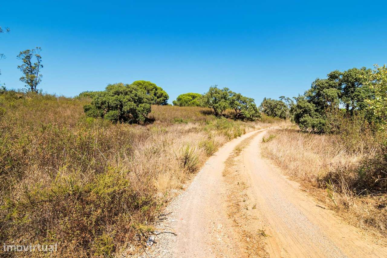 Terreno urbano em São Sebastião (Setúbal) com 17000m2-22