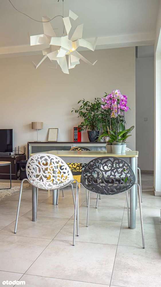 Apartament 133m2+73m2 taras z ogródkiem/garaż na 2 auta/blisko centrum - Pełny obrazek: 4/14