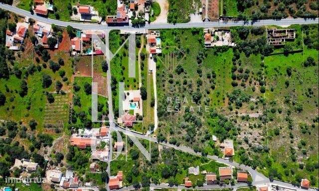 Oportunidade única de investimento! - Grande imagem: 4/4