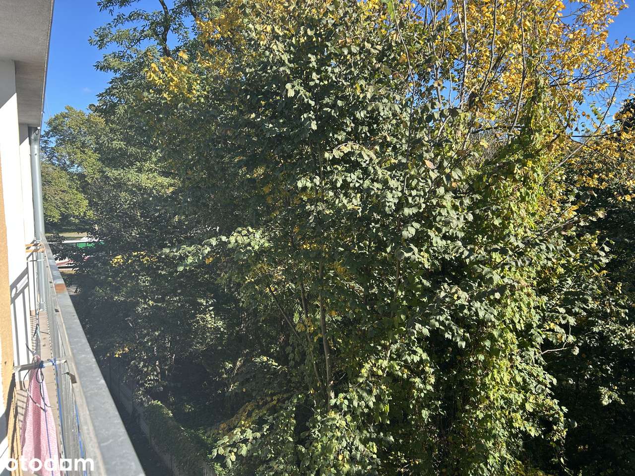 Przytulne 1-pokojowe mieszkanie/loggia/miejsce parkingowe-11