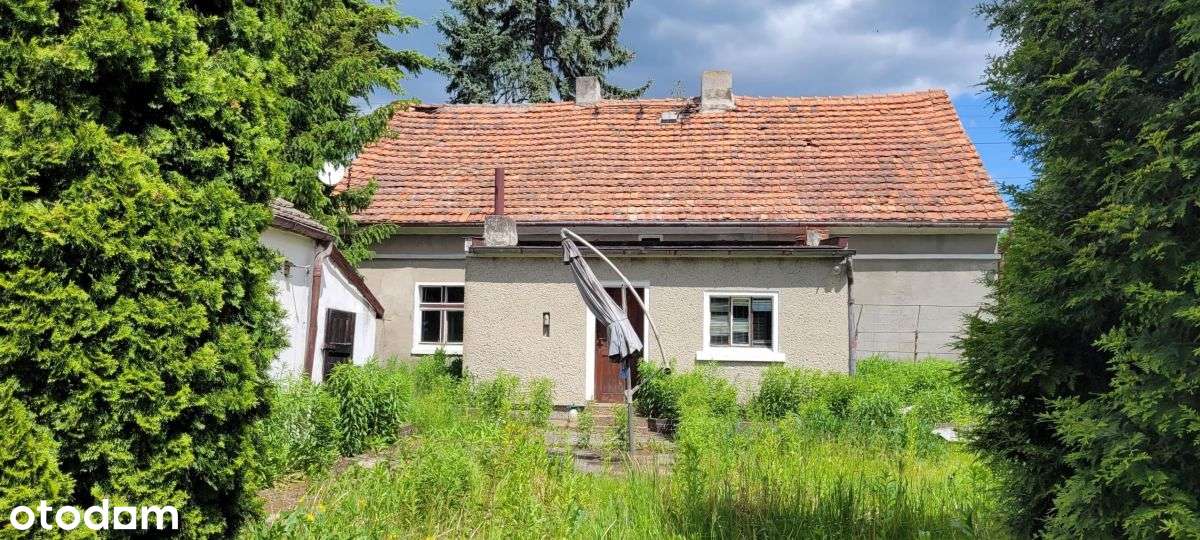 Dom z działką 24 ary, Tymowa, Ścinawa, Lubin-3