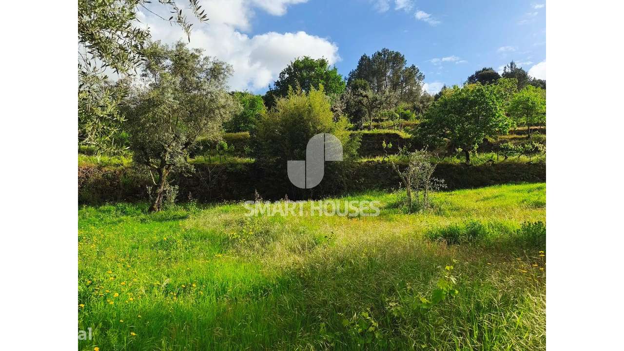 Quintinha em Vila do Mato-21