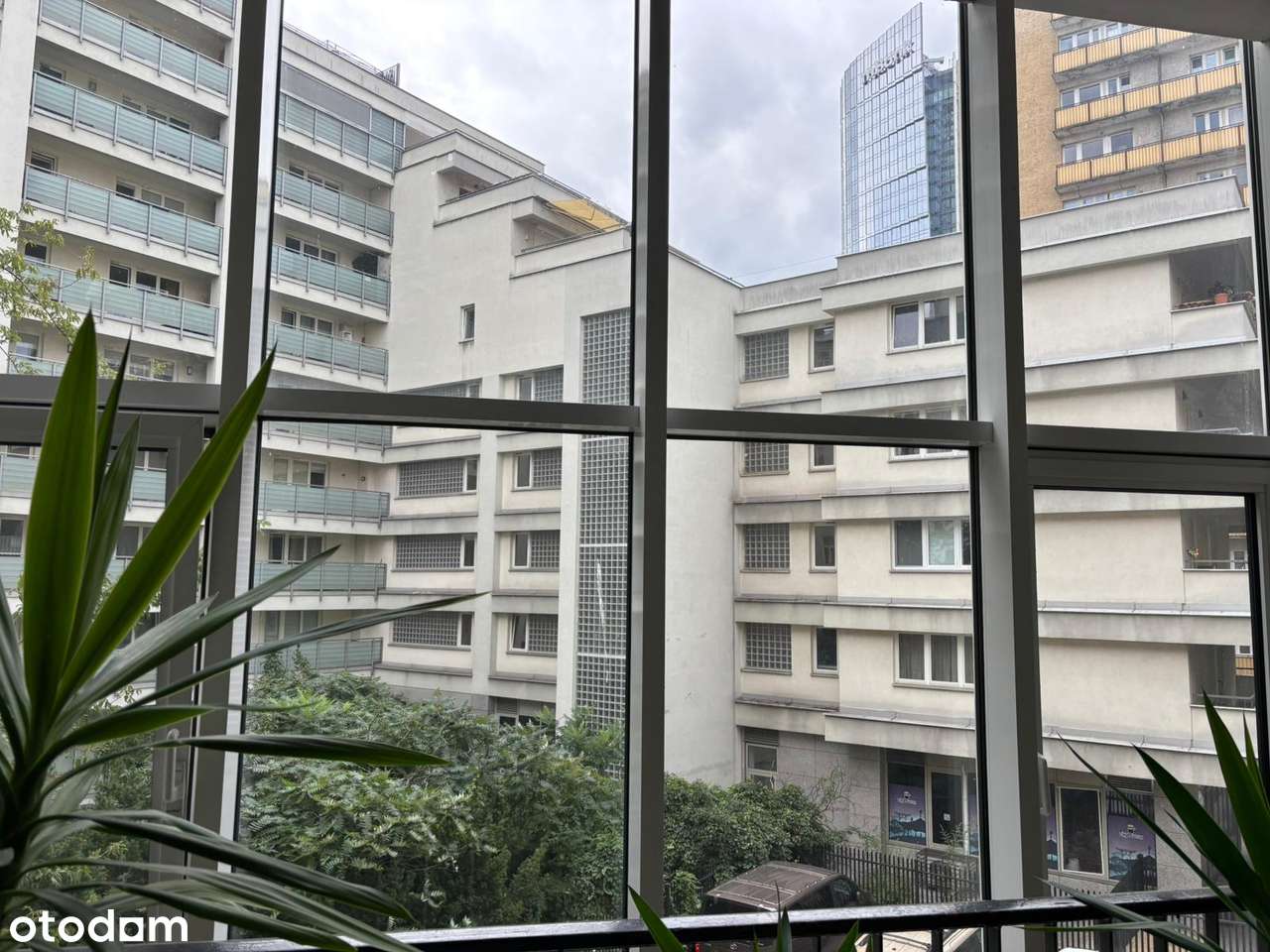 ✓✓ 176m-lokal do najmu biuro/firma/stowarzyszenie, 5min.Rondo ONZ ✓ - Pełny obrazek: 5/20