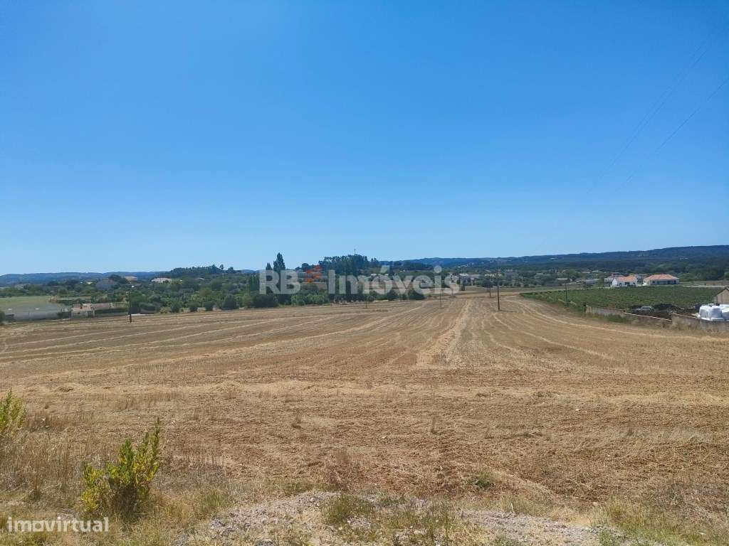 3 Terrenos Rústicos com área total de 18.880m2 - Cabeças, Tomar - Grande imagem: 4/17