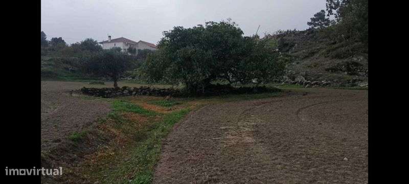 Terreno com 1,6h e viabilidade de construção apoio agricola - Grande imagem: 4/11