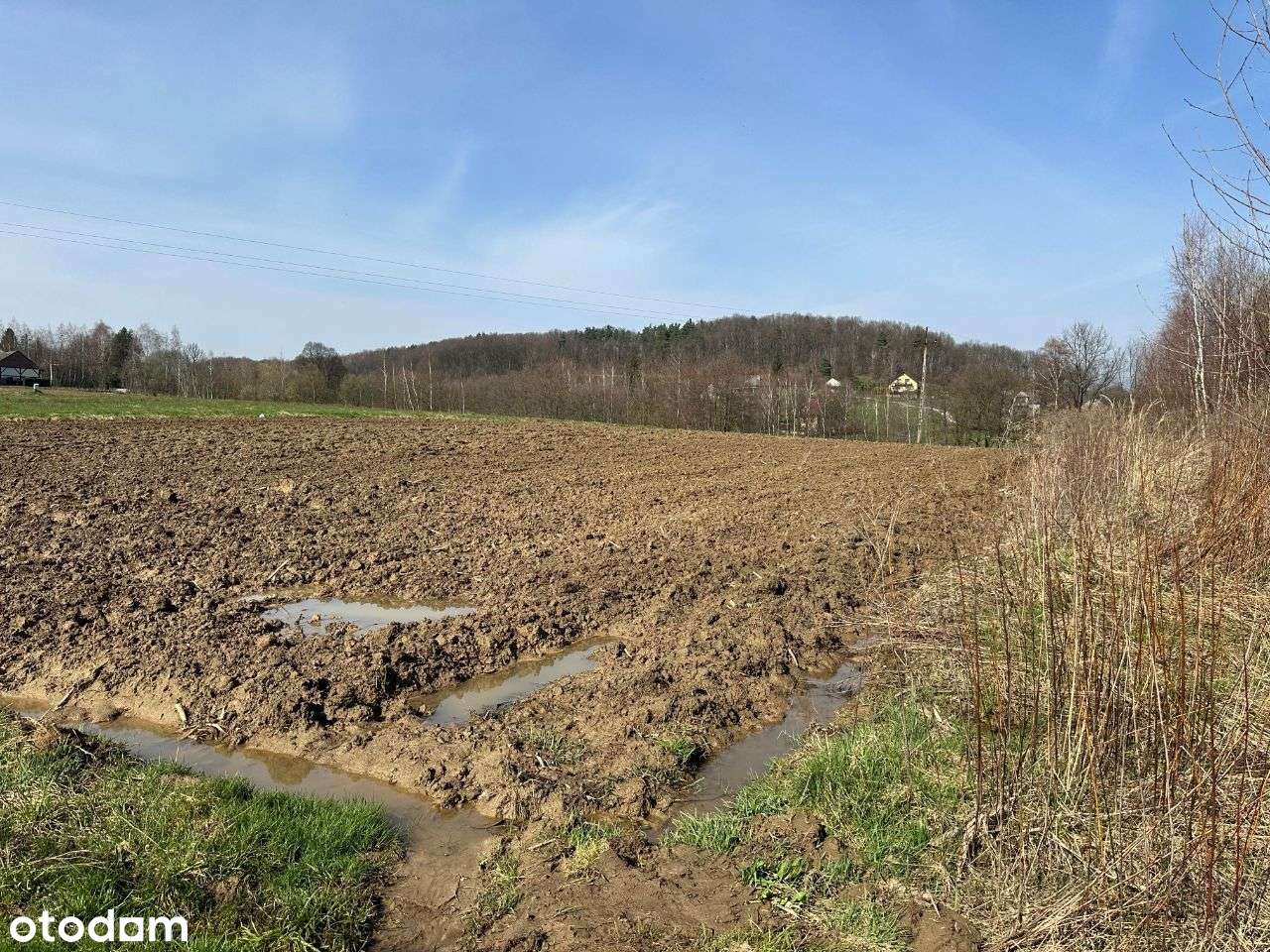 Dobranowice działkę sprzedamy - Pełny obrazek: 4/4