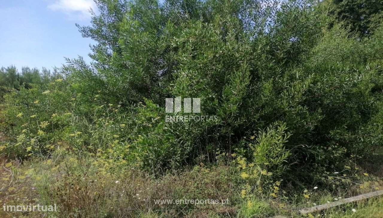 Venda de Terreno de construção, Vila Nova de Anha, Viana do Castelo - Grande imagem: 4/29