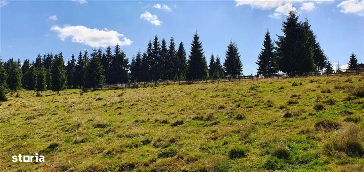 Oportunitare | Teren 1ha cu PUZ | Belis-9