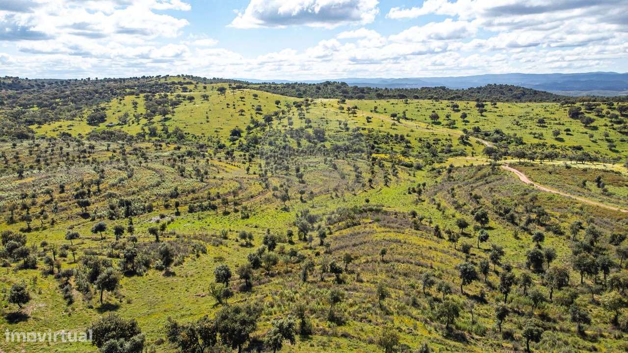 Herdade  para venda - Grande imagem: 5/21