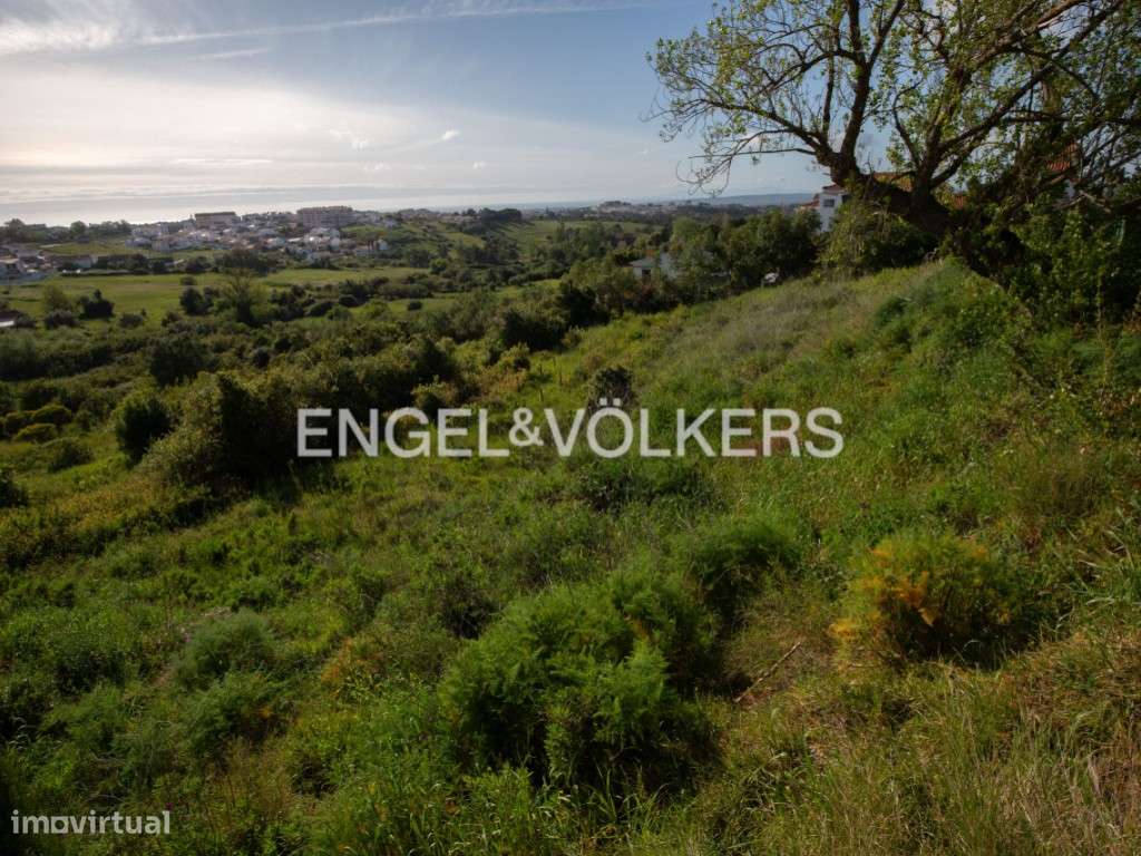 Terreno para Condomínio de 6 Moradias T3, com Piscina, em Sesimbra ... - Grande imagem: 5/28