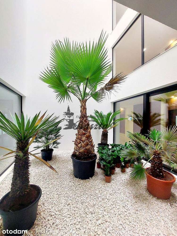 Międzyzdroje nowy apartament  z  17 -m tarasem-9