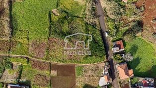 Terreno - Porto Moniz - Grande imagem: 4/12