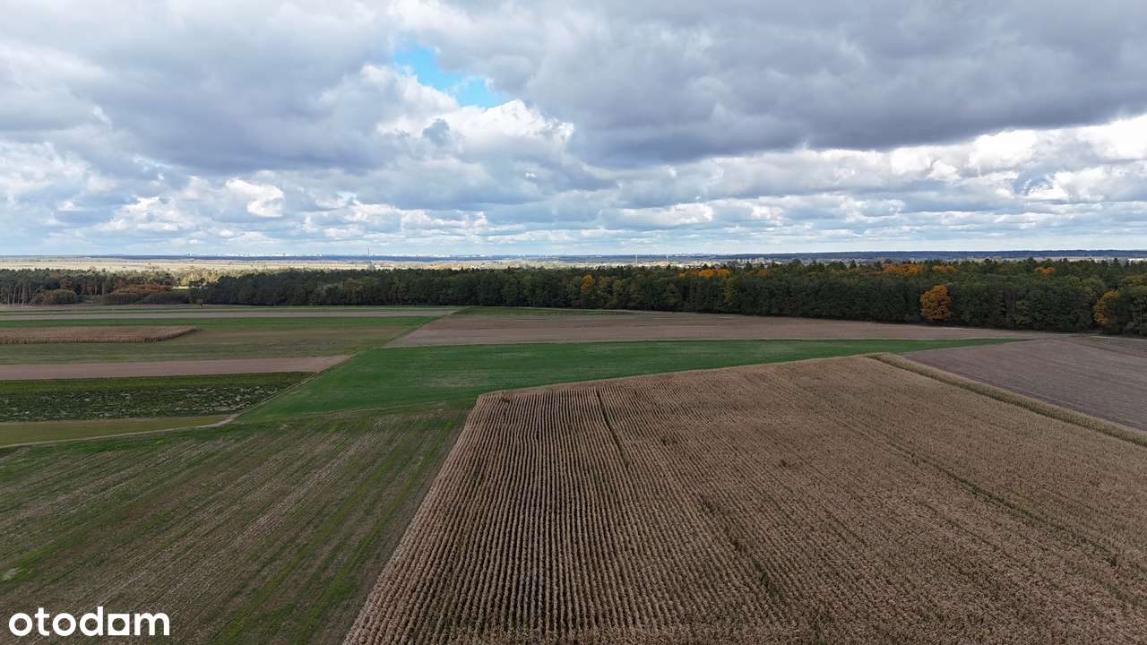 Działka budowlana MN_niezakłócony widok na las_światłowód-1