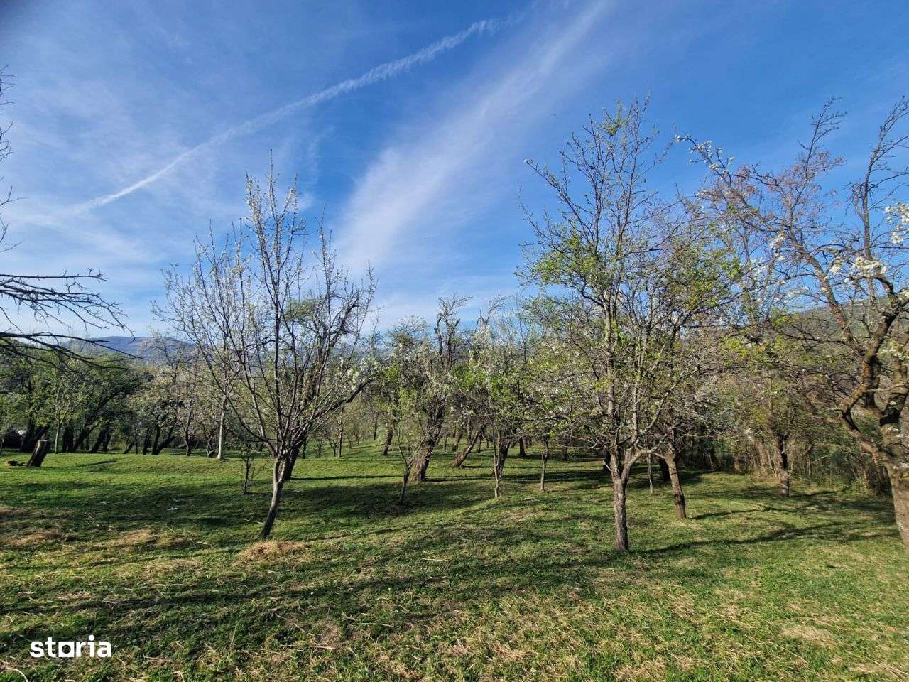 Teren intravilan Breaza zona retrasa - Imagine principală: 3/13