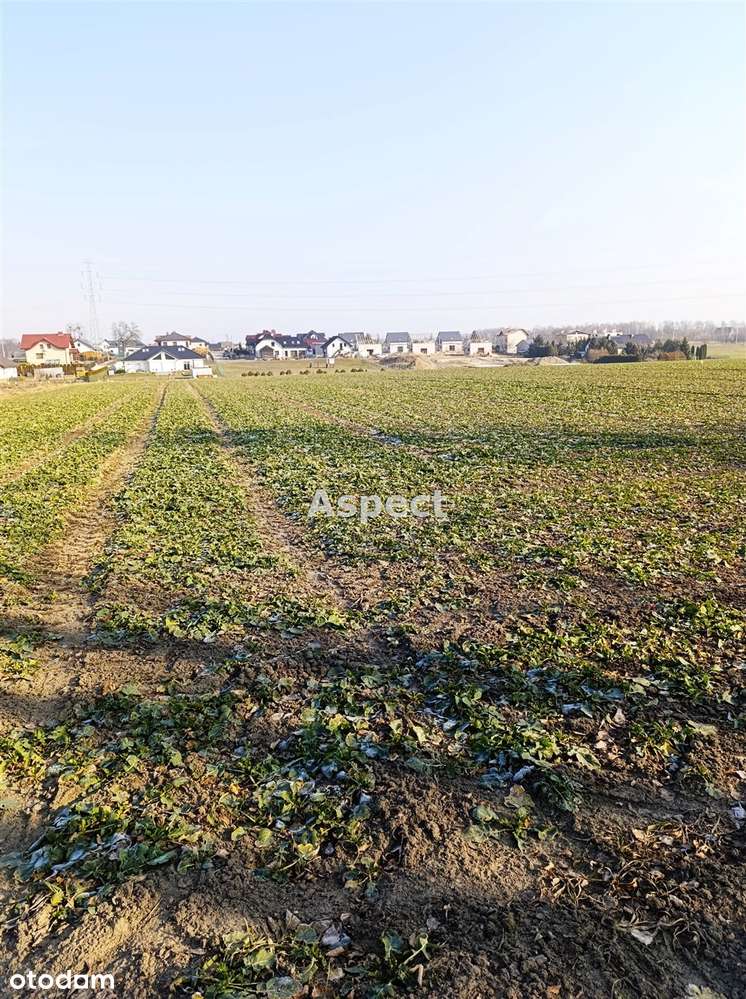 Działka Świerklany - Pełny obrazek: 5/7