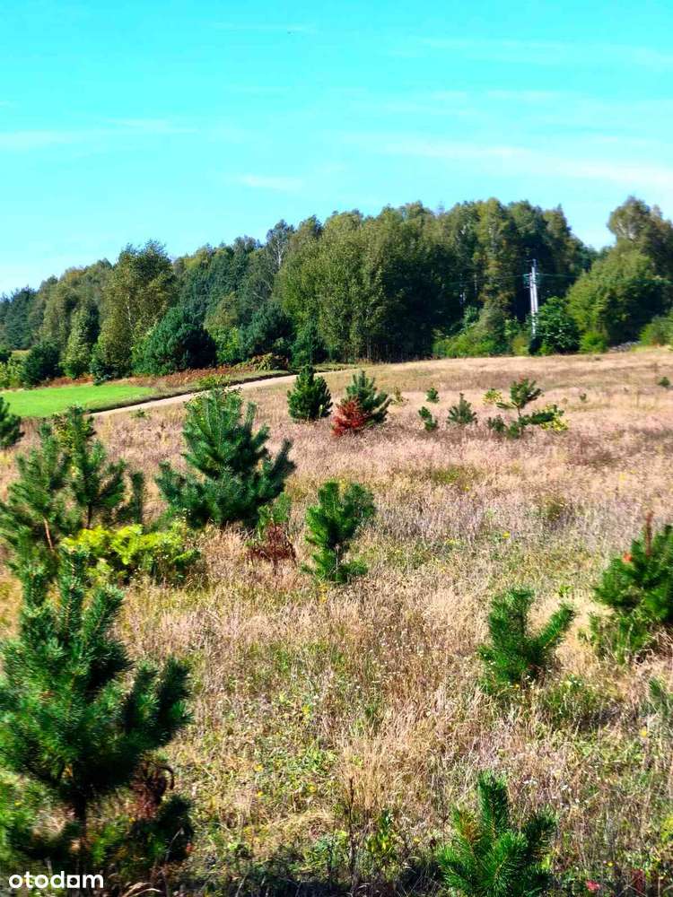 Działka budowlana w otoczeniu lasów i jezior - Pełny obrazek: 5/20