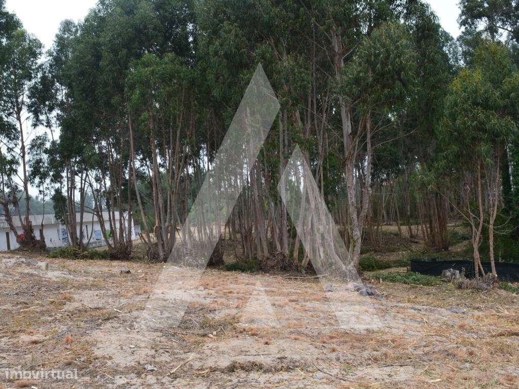 Terreno Urbano para construção em Ovar! - Grande imagem: 5/19
