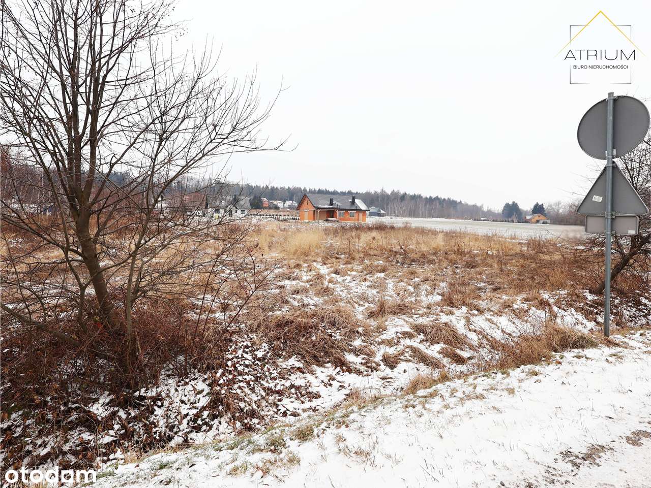 Działka budowlana Nowa Wieś Grodziska | widok na Zamek Grodziec-4