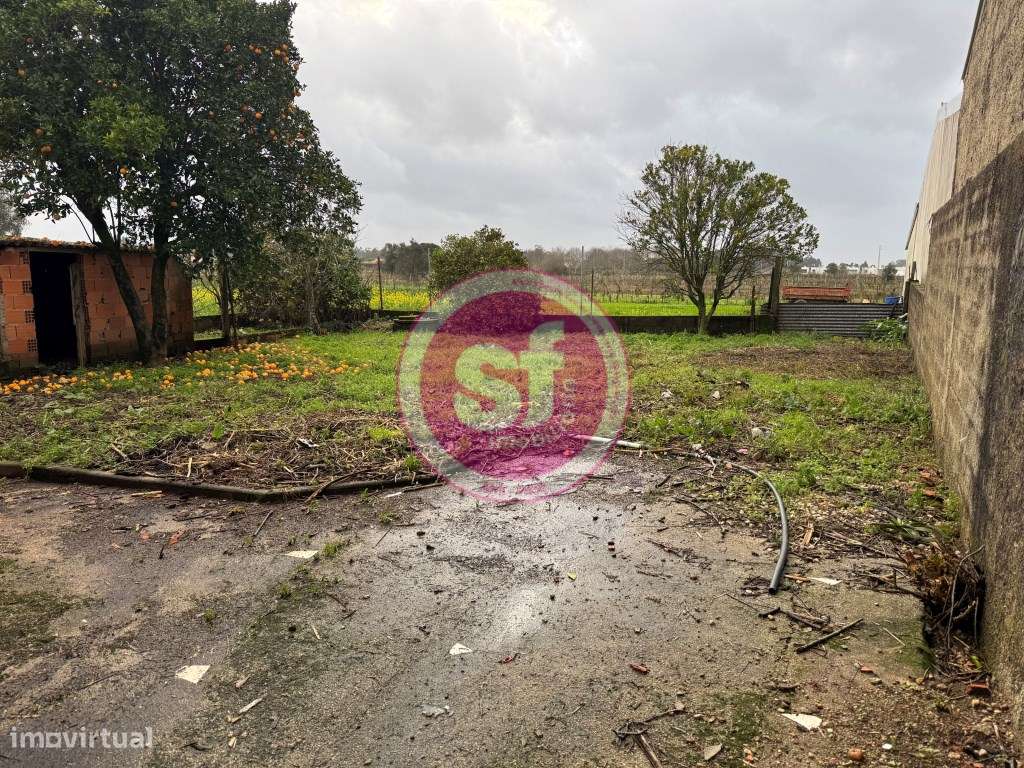 Moradia térrea T2 em lote de 450 metros, com grande potencial-15