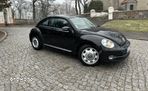 Volkswagen Beetle - 10