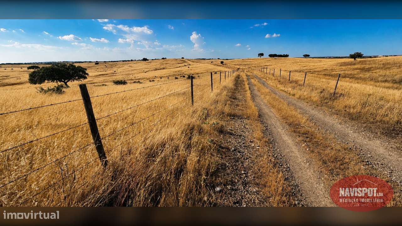 Herdade com 750 hectares no Alentejo-25