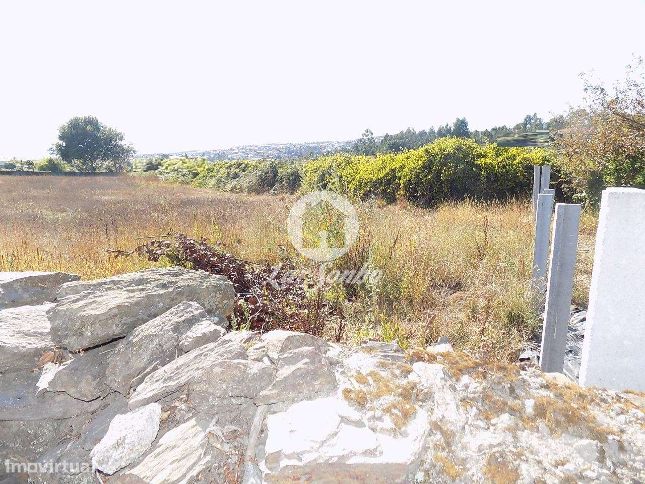 Terreno de construção com 2.925 m2 em Ribeirão - Grande imagem: 5/6