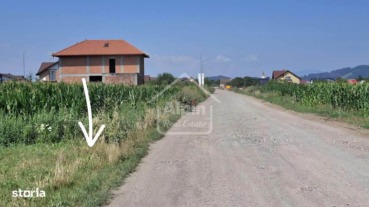 Teren Pretabil Investitie Harman - Imagine principală: 5/20