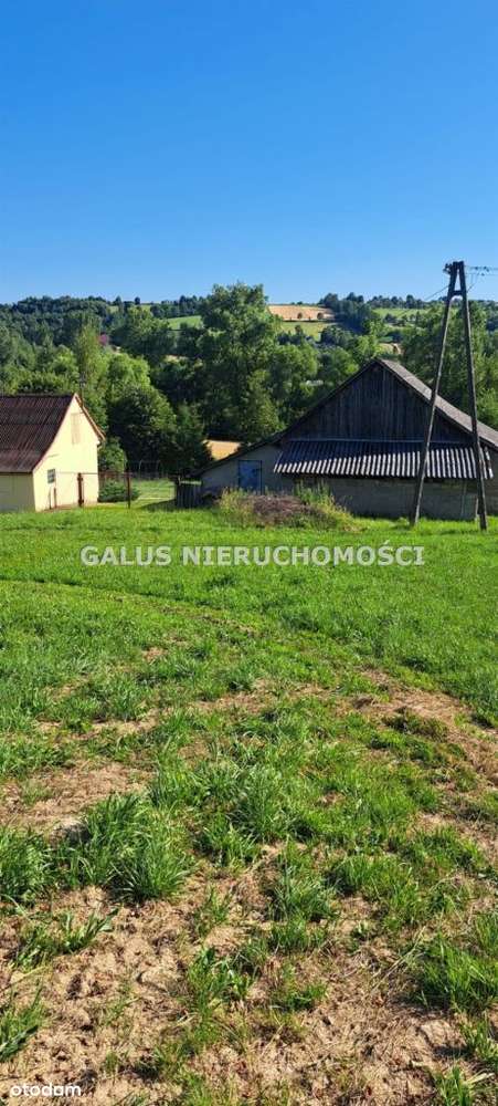 Działka rolna 2,5200 Ha i gospodarstwo-17