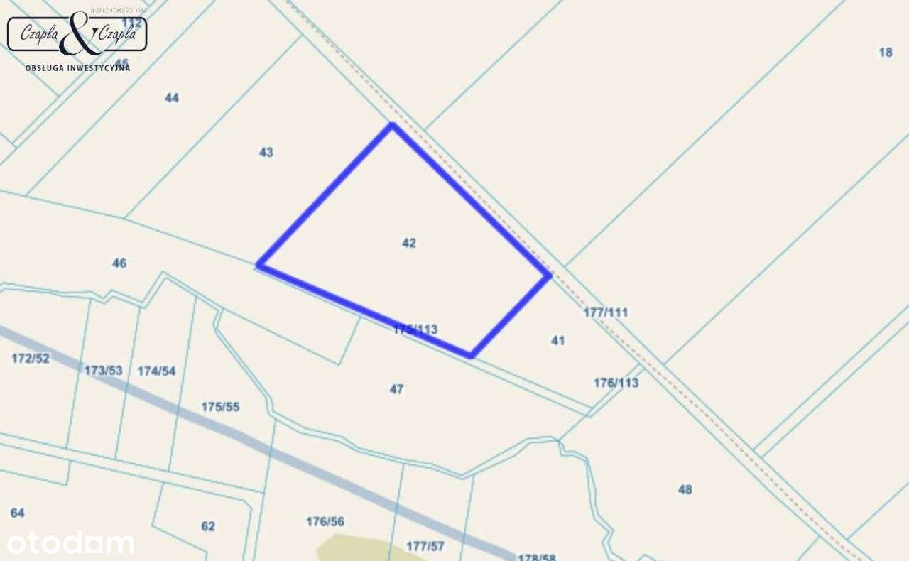 Działka rolna Rudno - Pełny obrazek: 5/5