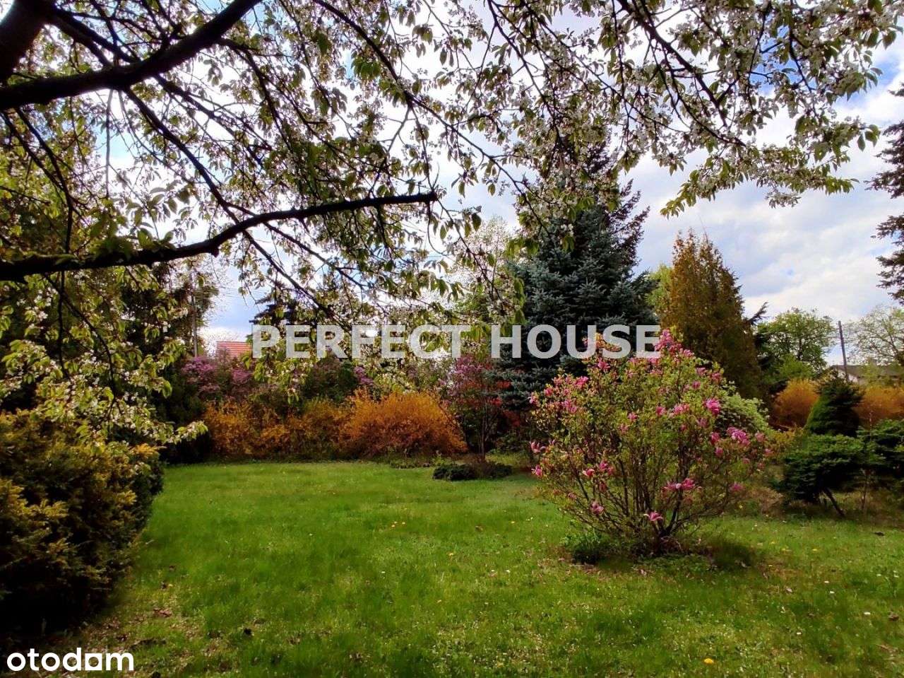 Piękne Działki Podolany - Pełny obrazek: 1/2