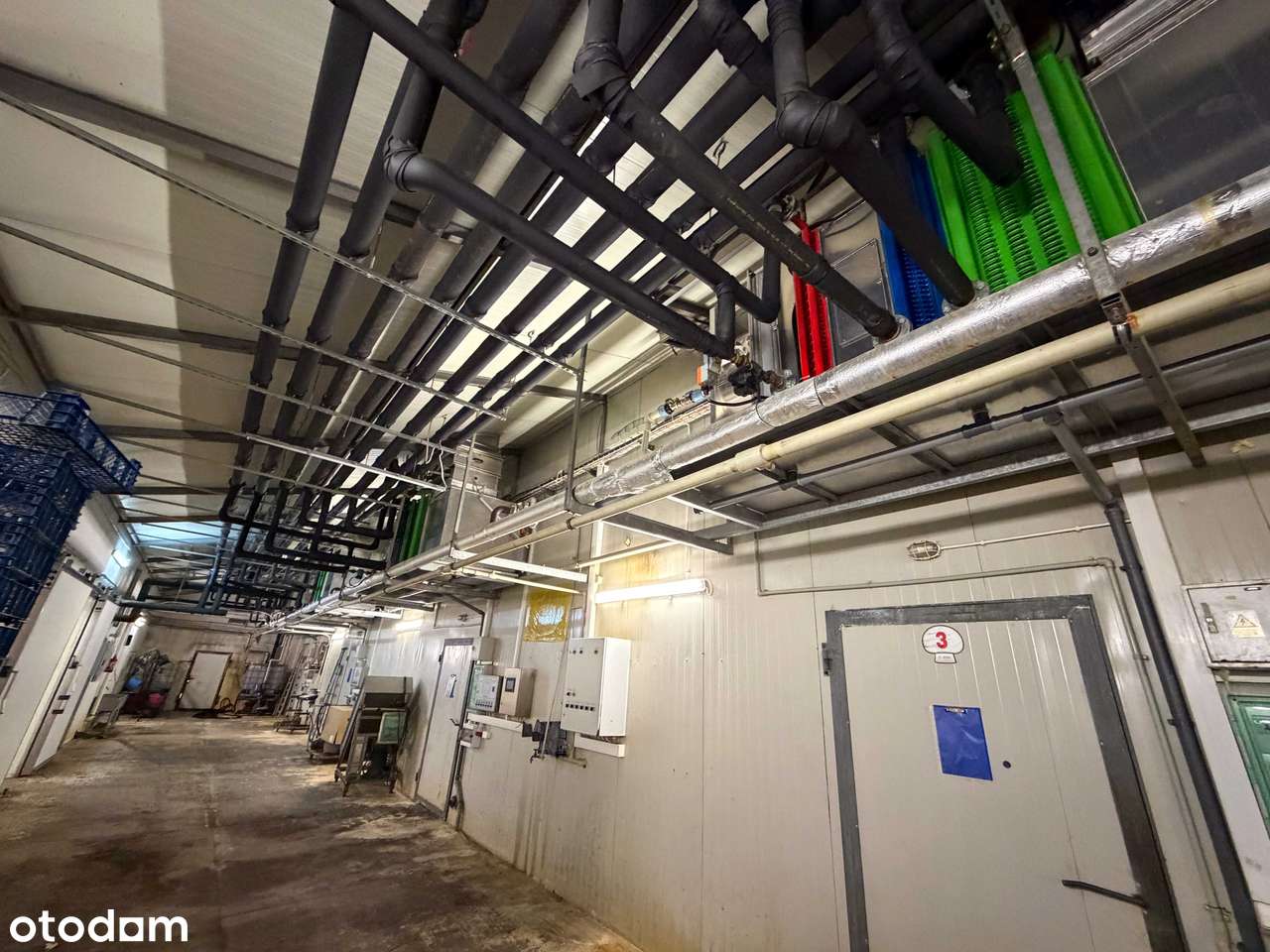 Nowoczesna i wyposażona pieczarkarnia z częścią magazynową – Janowo,-14
