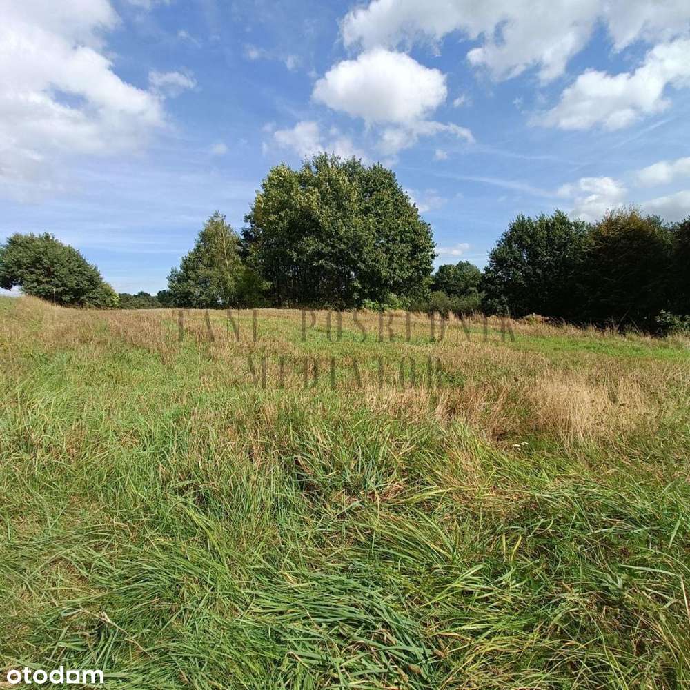 Działka budowlana Połomia ul. Centralna - Pełny obrazek: 4/7