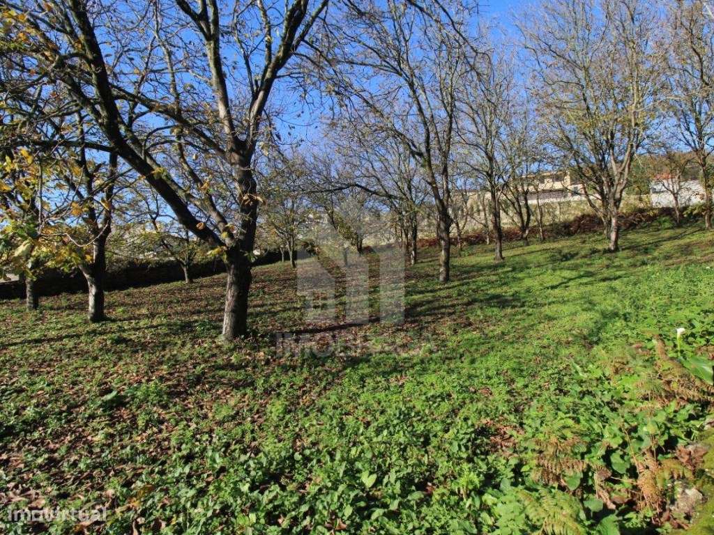 Venda de Terreno para Lotear, em Gualtar, Braga-21