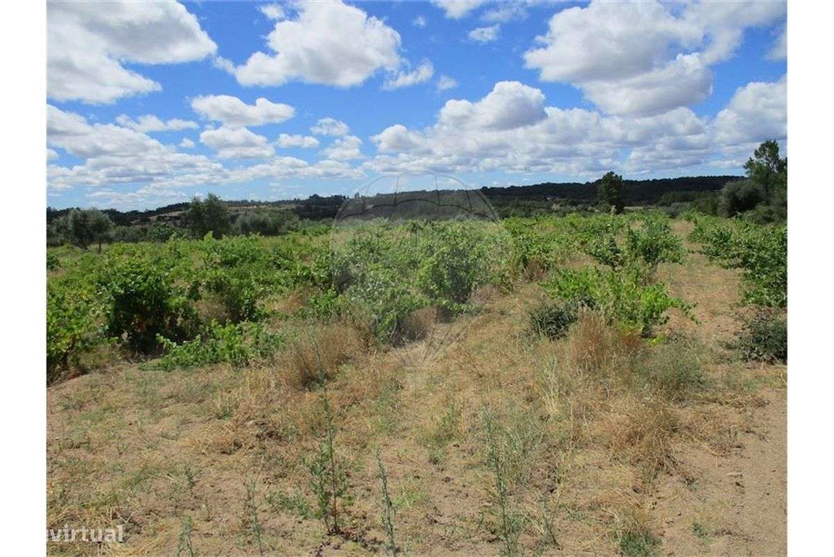 Quinta T0 para venda - Grande imagem: 4/7