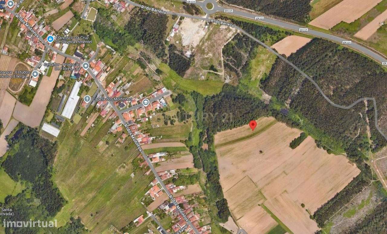 Terreno Agrícola em Ílhavo com Vista Campestre - Grande imagem: 5/6