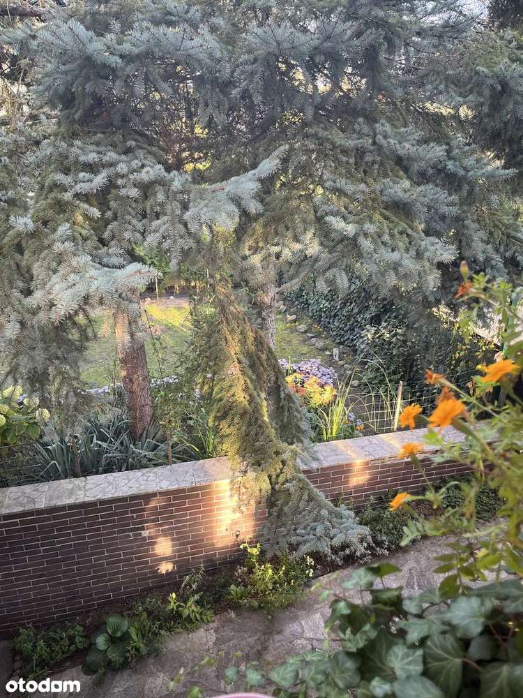 Przestronny dom z garażem w zielonej okolicy - Pełny obrazek: 5/20