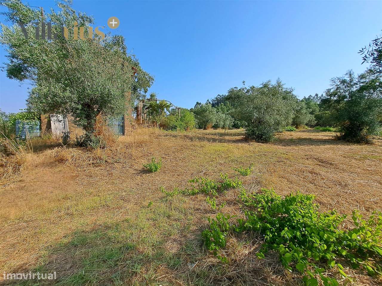 Terreno 11.513 m² com Projeto Aprovado — Tomar-15