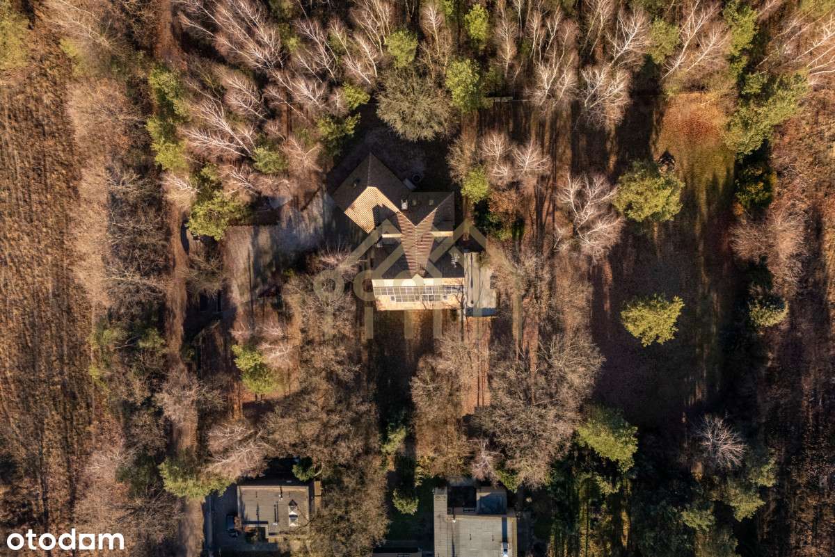 Dom 289 m² na dużej działce 5400 m² - Pełny obrazek: 4/15