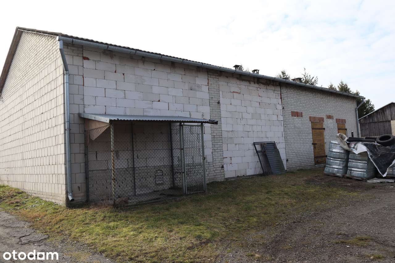 Sprzedam działkę pod zabudowę zagrodową - Pełny obrazek: 1/2