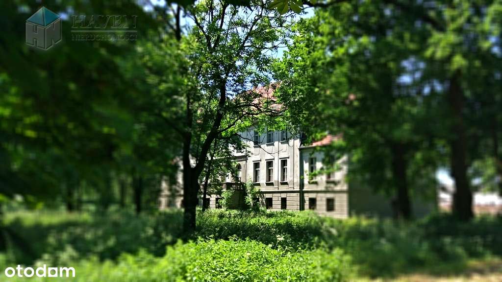 Zespół pałacowy w Karczewie - Pełny obrazek: 4/11