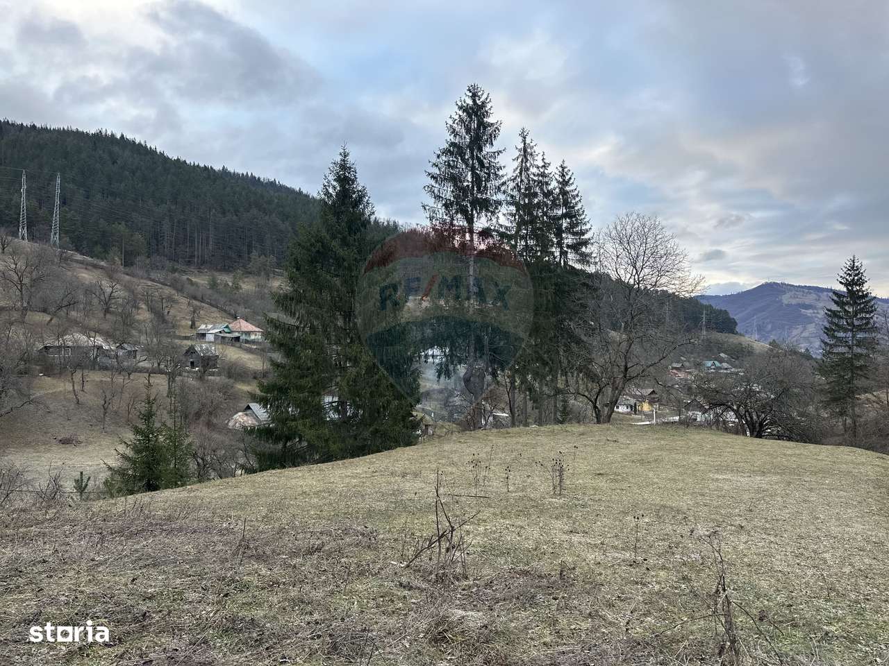 Teren 2,000mp Stejaru (Pangarati) / None - Imagine principală: 2/7
