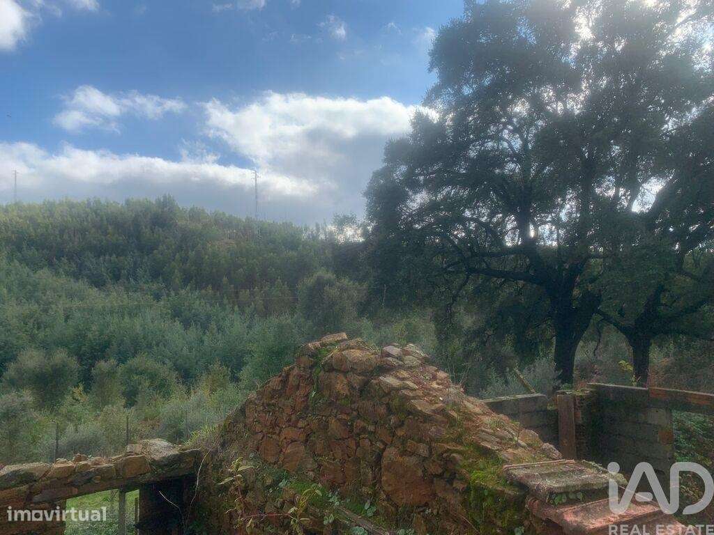 Terreno para construção em Pedrógão Grande - Grande imagem: 5/26