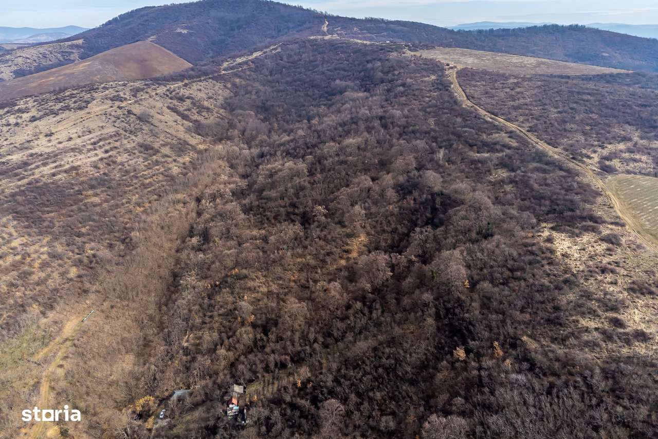 Teren în Ghioroc pe deal - Imagine principală: 4/6
