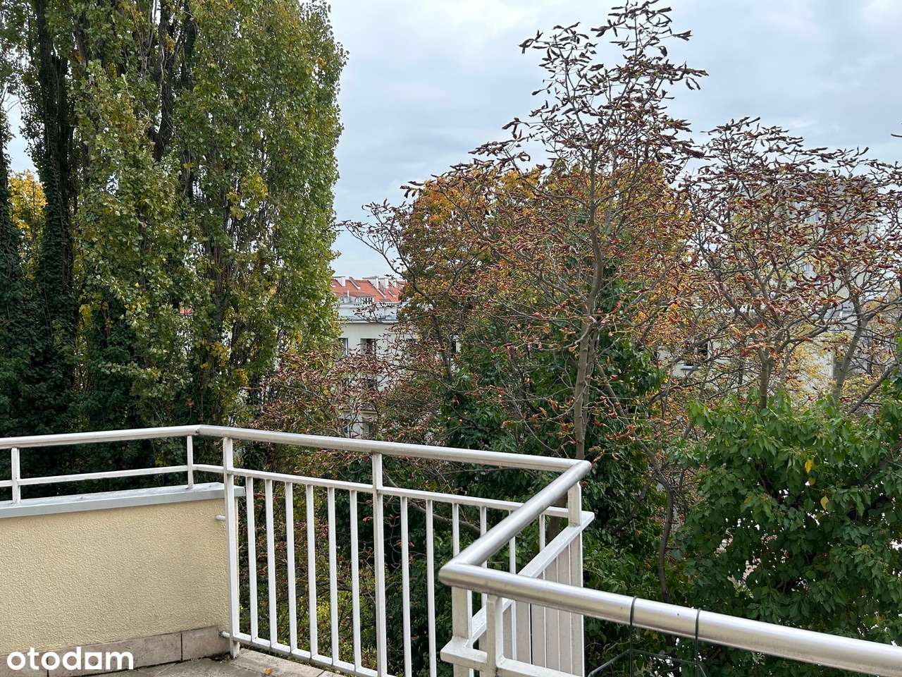 160m2, apartament ul. Nabielaka, przy Łazienkach-3