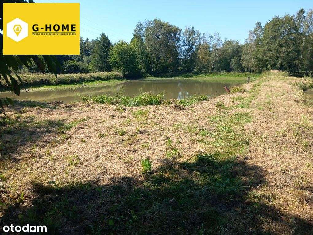 Tereny zielone - Działka z potencjałem-8