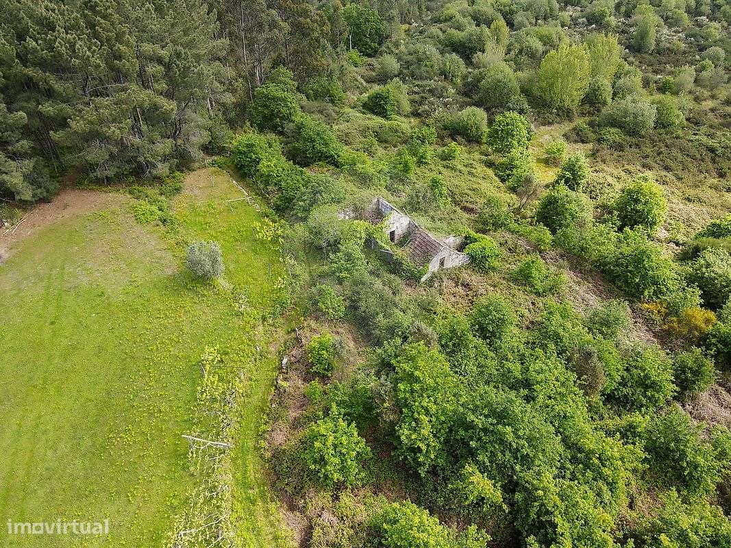 Quinta T0 para venda - Grande imagem: 3/8