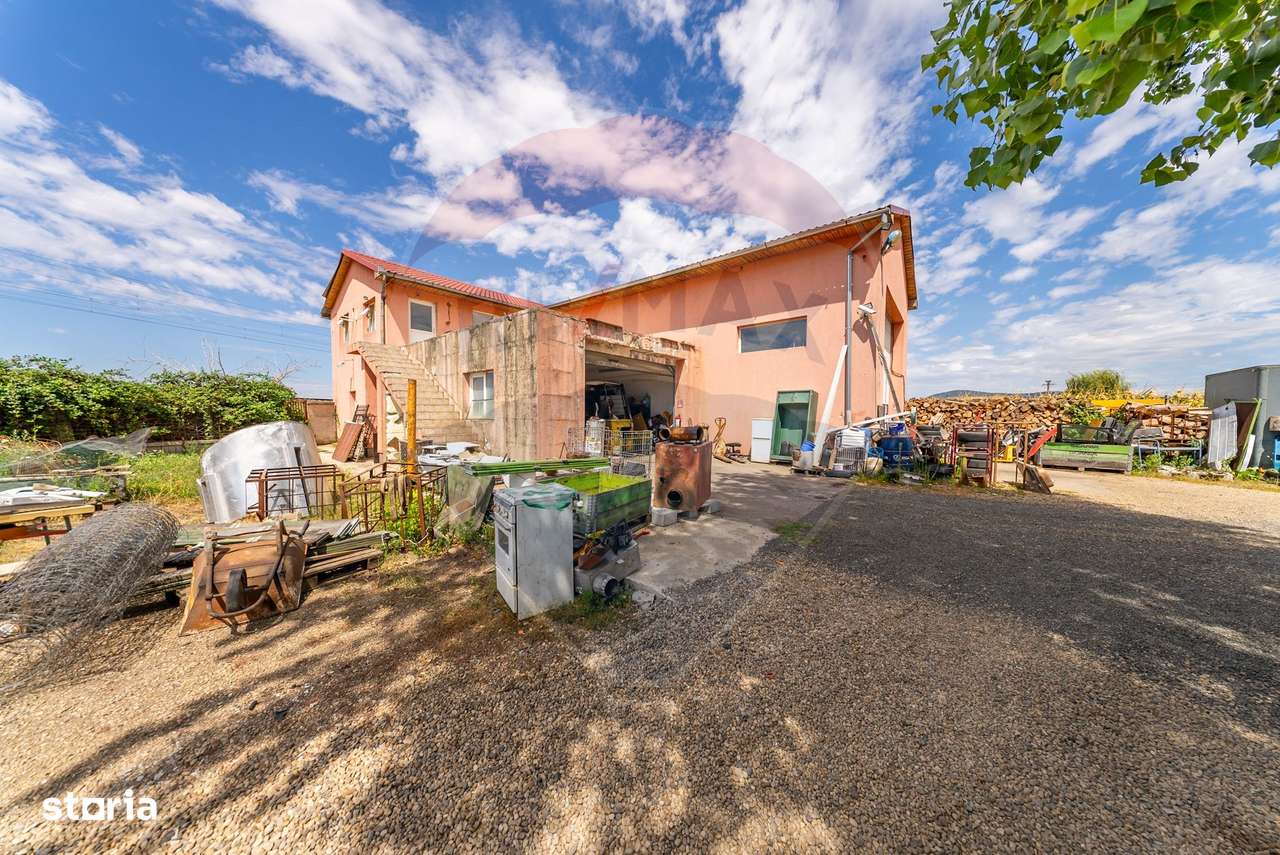 Spațiu industrial cu potential de vanzare in Paulis,Arad-19