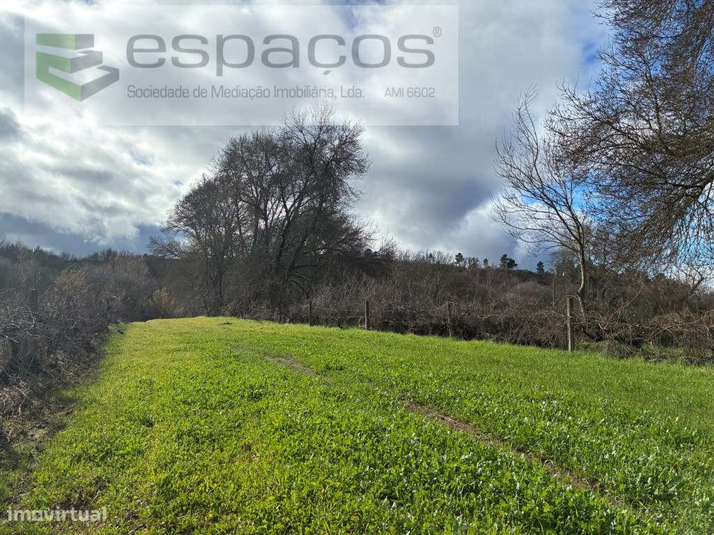 Magnifica Quinta a confinar com Rio Zêzere - Grande imagem: 5/38