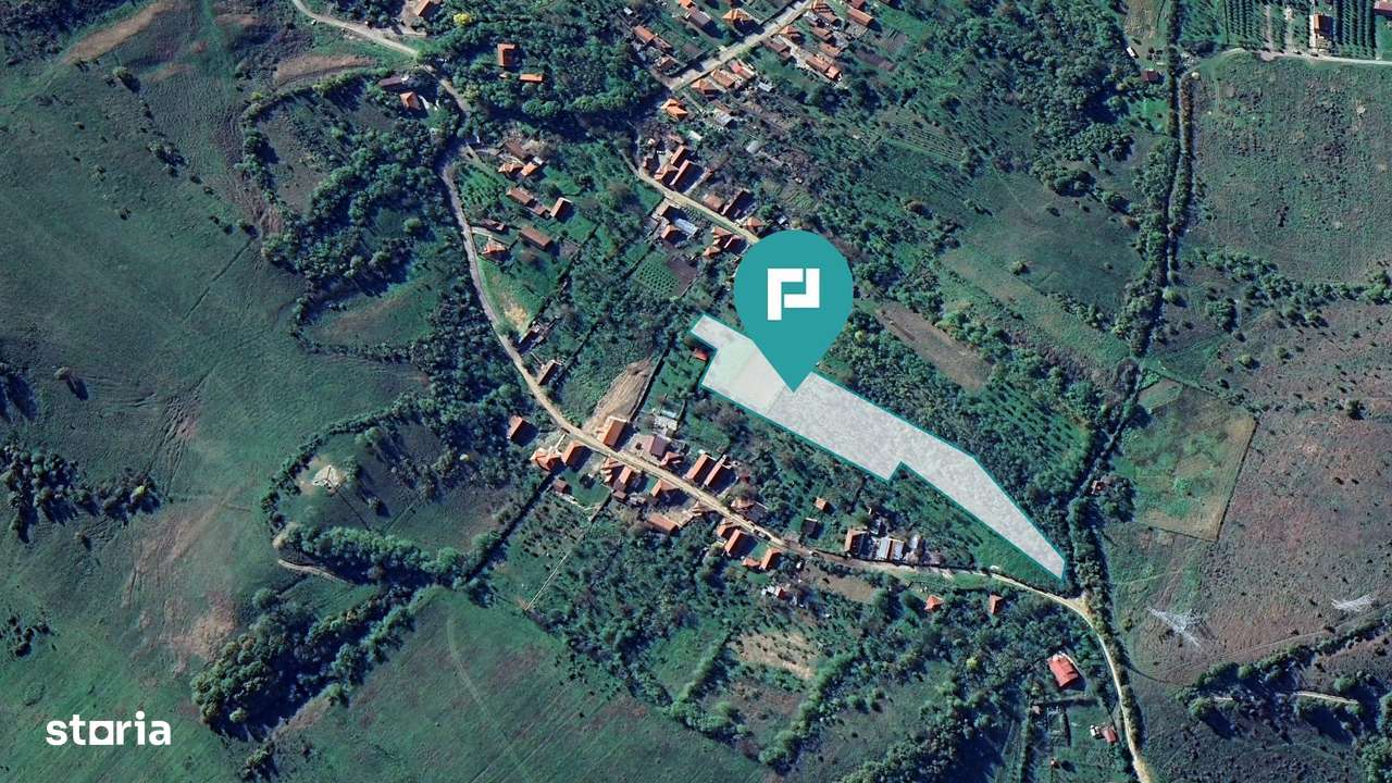 Teren fâneaţă lângă pădure - Hunedoara - Imagine principală: 3/3